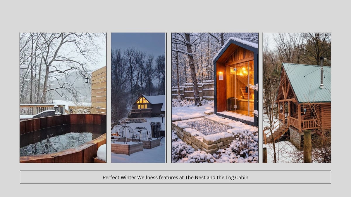 Winter Wellness Retreats: Sauna & Japanese Ofuro Experiences at Anaway