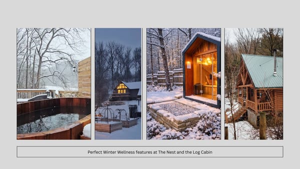 Winter Wellness: Ofuro Hot Tubs & Sauna Experiences at Anaway Place